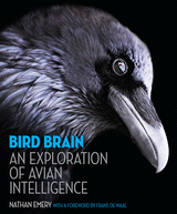 bird-brain-cvr